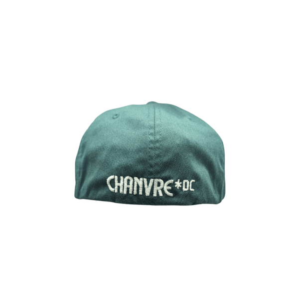 casquette verte Chanvre DC vue de derrière