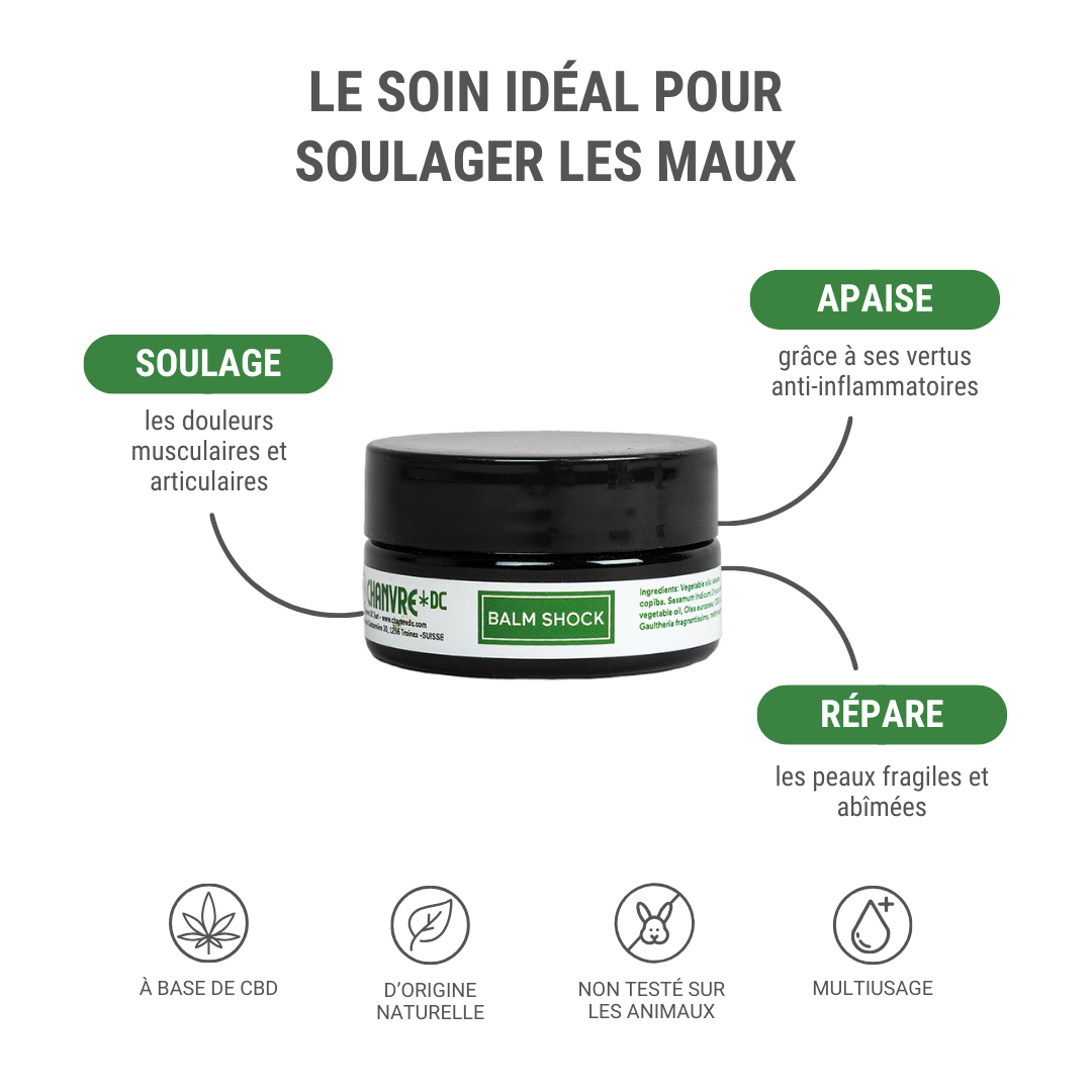 Infographie baume shock