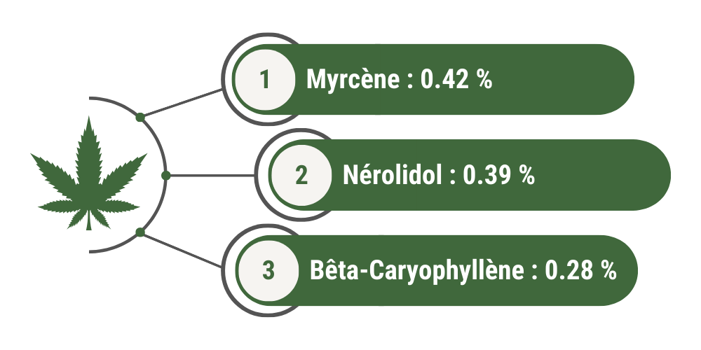 Terpènes dominants Blueberry Muffin Greenhouse Hybride : 
1) myrcène = 0.42 %
2) nérolidol = 0.39 %
3) bêta-caryophyllène = 0.28 %