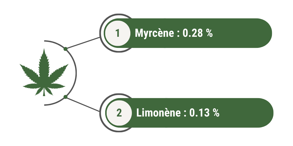 Terpènes dominants NLX Greenhouse : 
1) myrcène = 0.28 %
2) limonène = 0.13 %