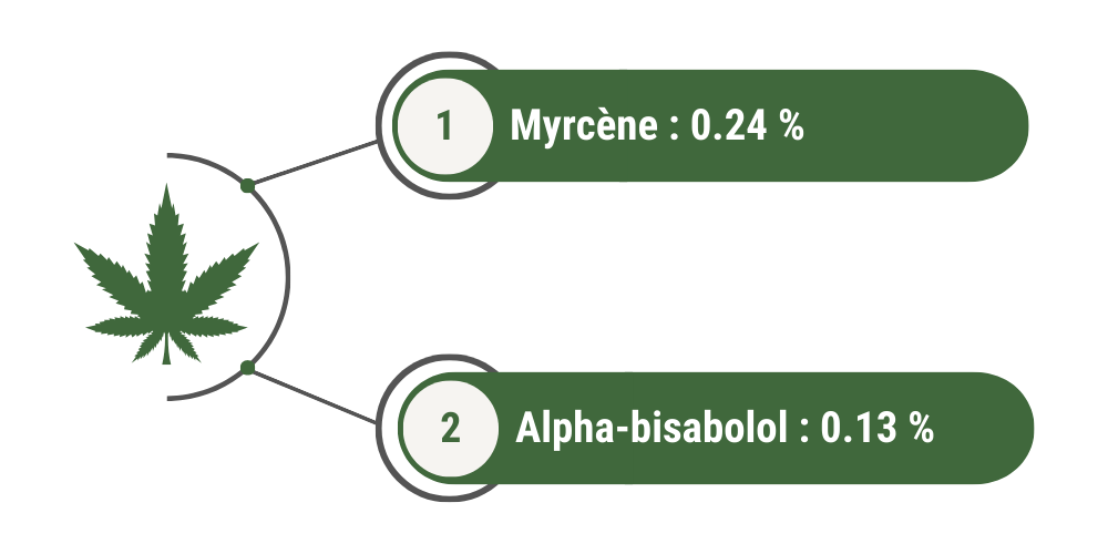 Terpènes dominants Strawberry Greenhouse Hybride : 1) myrcène = 0.24 % 2) Alpha-bisabolol = 0.13 %