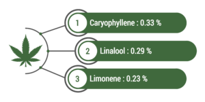 Terpènes dominants de l'iwazaru : caryophyllene (0,33%), Linalool (0,29%) et Limonene (0,23%)