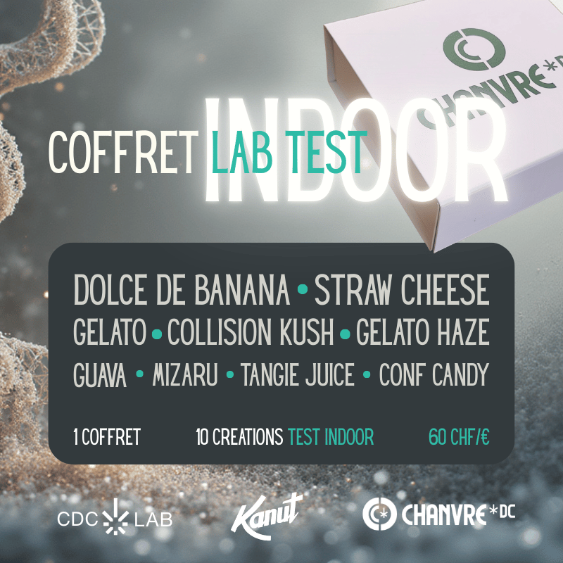 coffret indoor nouvelles génétiques test organique labo