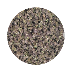 small buds Tangie Juice