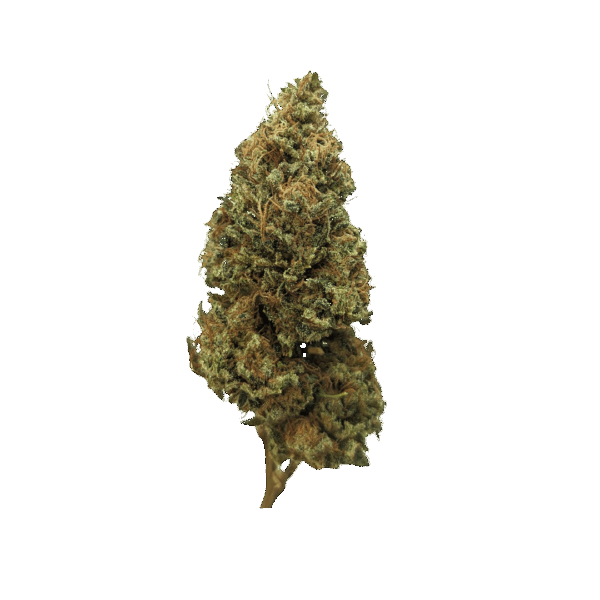 Fleur CBD indoor Lementos