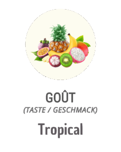 picto gout tropical bliss 24