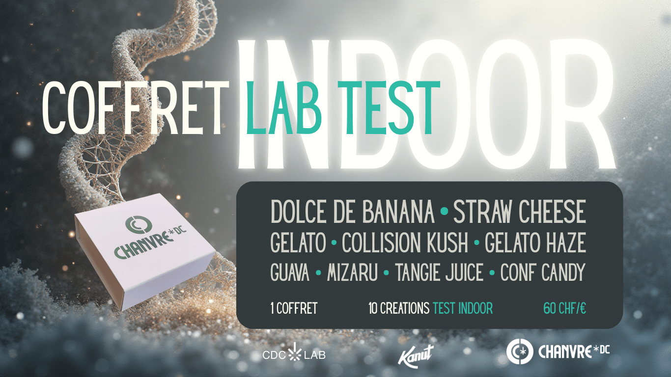 Coffret INDOOR organique création labo CDC LAB Kanut