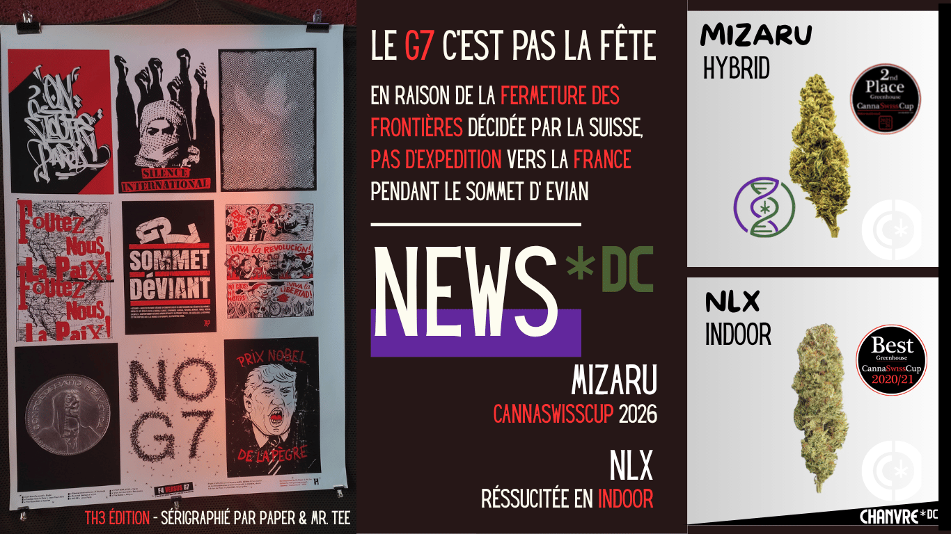 G7 web (1)