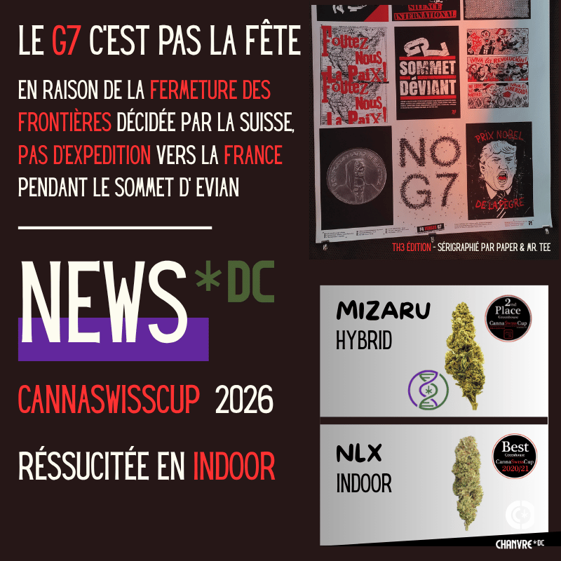 G7 web (2)