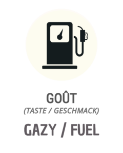 Picto GAZY / fuel