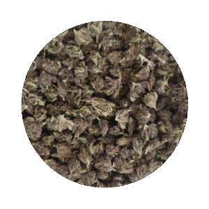 tangie juice CBD cultivée près de Genève