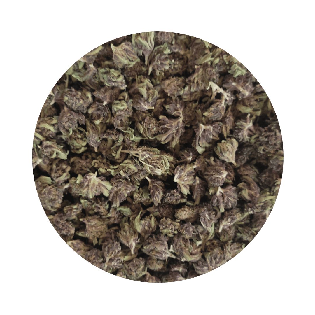 tangie juice CBD cultivée près de Genève